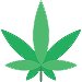 Cannabis leaf